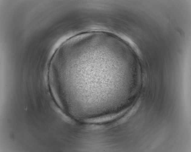 X0000113861374200910081657