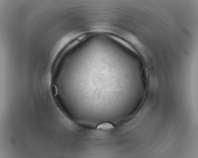 X0000113861376200910081657