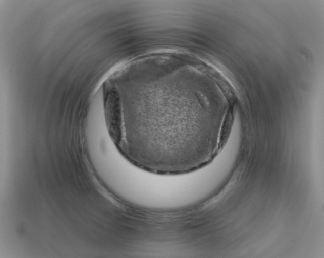 X0000113861377200910081657