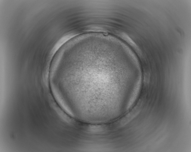 X0000113861378200910081657