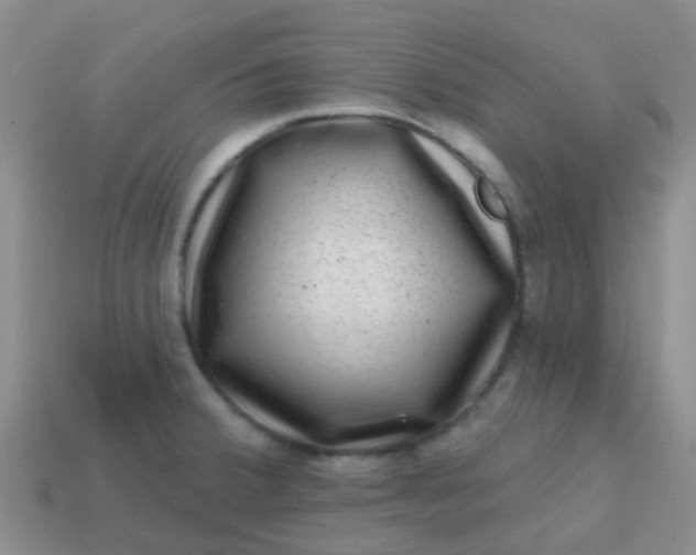 X0000113861380200910081657