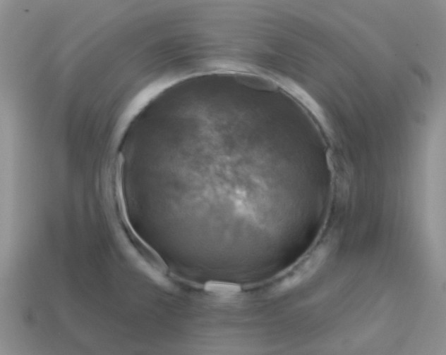 X0000113861381200910081657