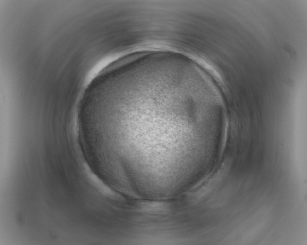 X0000113861382200910081657