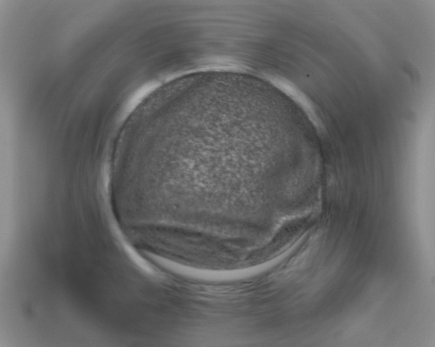X0000113861383200910081657
