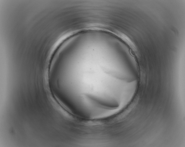 X0000113861384200910081657