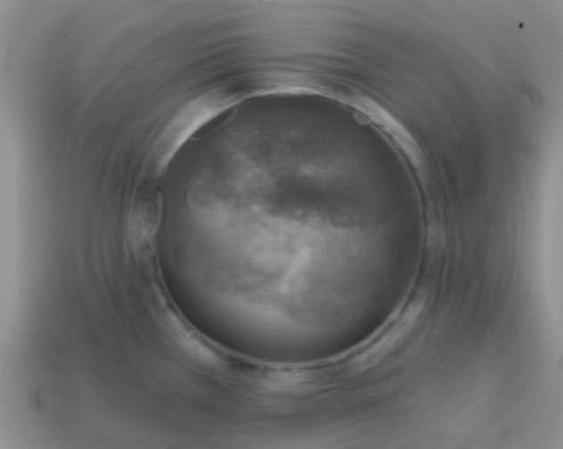 X0000113861385200910081657
