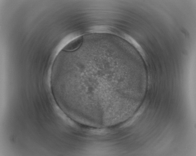 X0000113861386200910081657