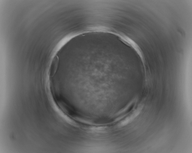 X0000113861389200910081657