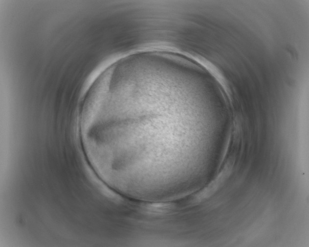 X0000113861390200910081657
