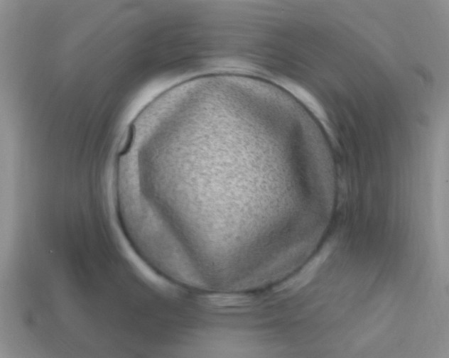 X0000113861391200910081657