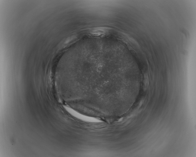 X0000113861394200910081656