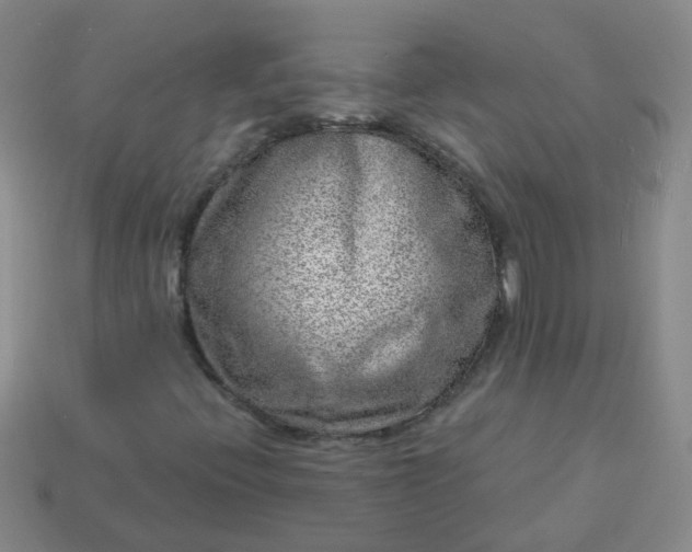 X0000113861396200910081656