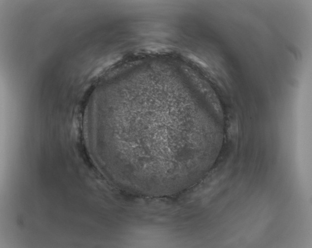 X0000113861397200910081656