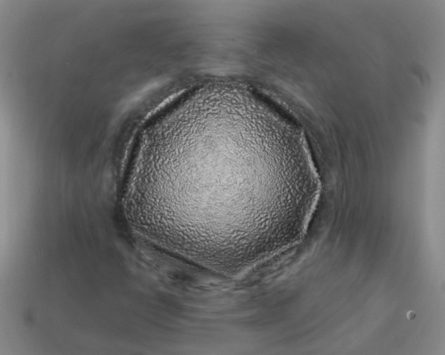 X0000113861398200910081656