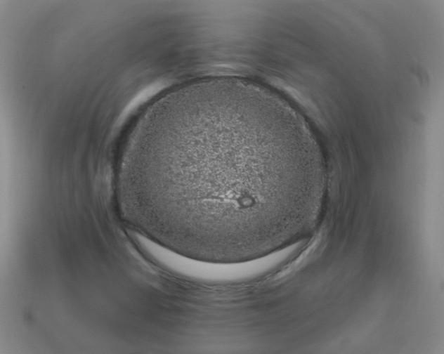 X0000113861402200910081656