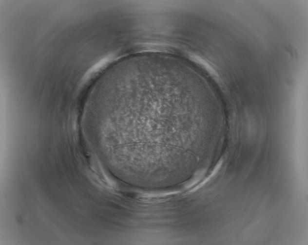 X0000113861403200910081656
