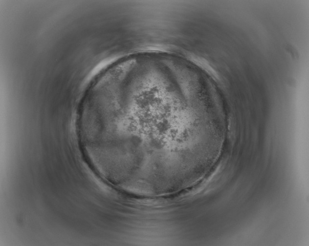 X0000113861404200910081656