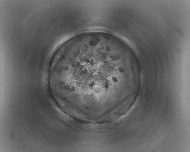 X0000113861405200910081656