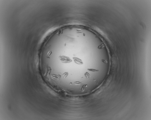 X0000113861408200910081657