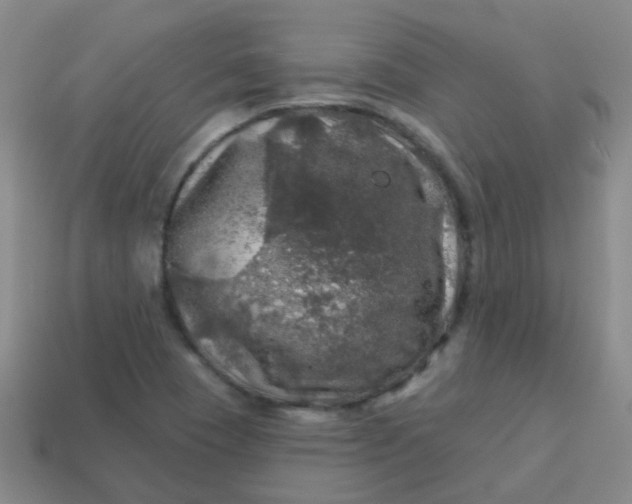 X0000113861409200910081657