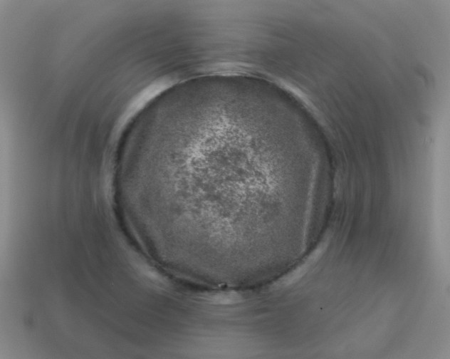 X0000113861410200910081657