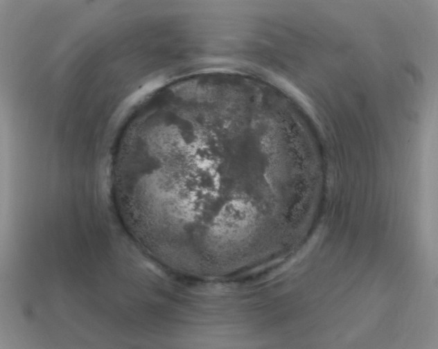 X0000113861411200910081657