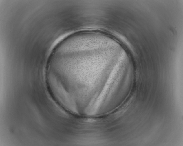 X0000113861412200910081657