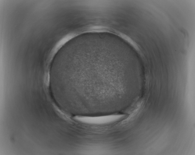 X0000113861413200910081657
