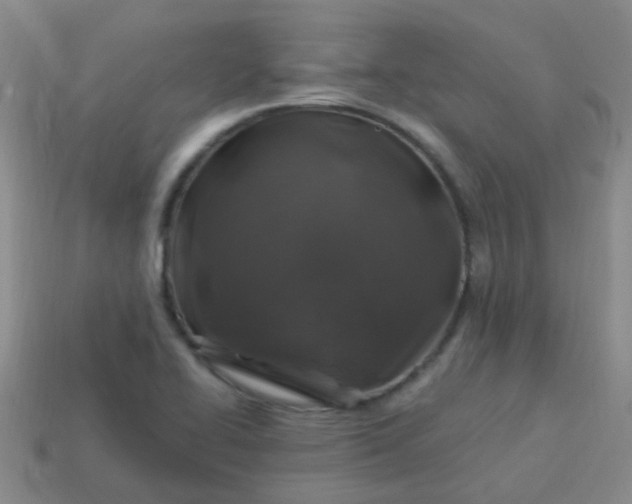 X0000113861414200910081657