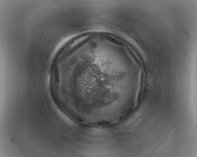 X0000113861416200910081657