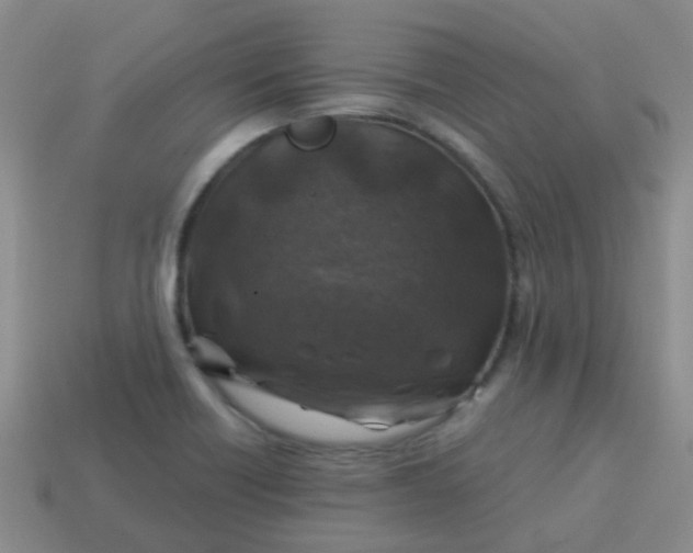 X0000113861418200910081657