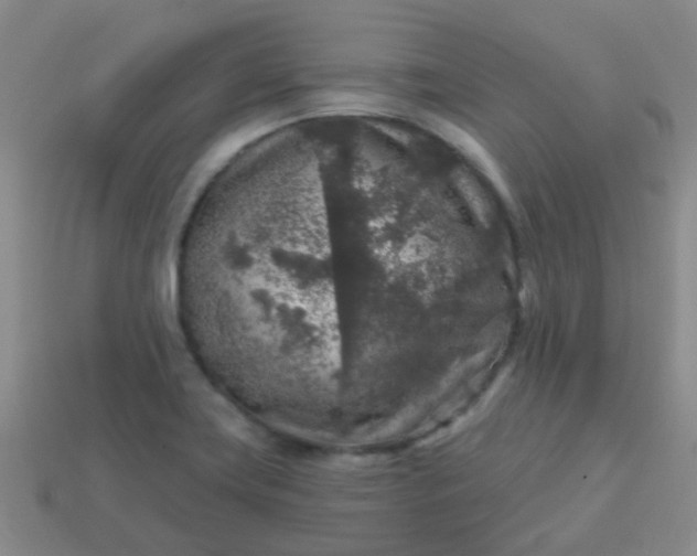 X0000113861419200910081657