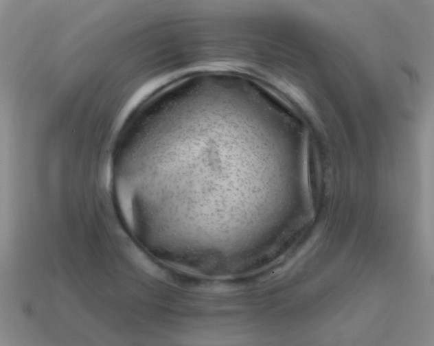 X0000113861420200910081657