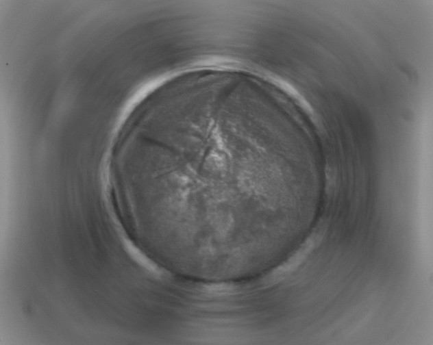 X0000113861421200910081657