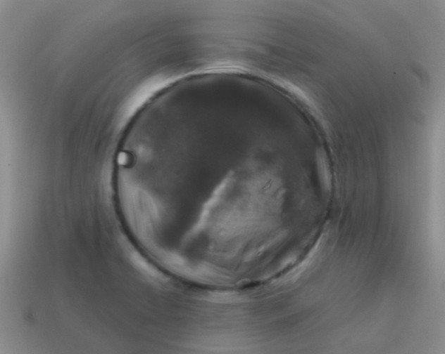 X0000113861422200910081657