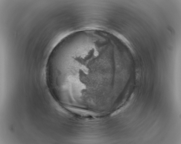X0000113861423200910081657