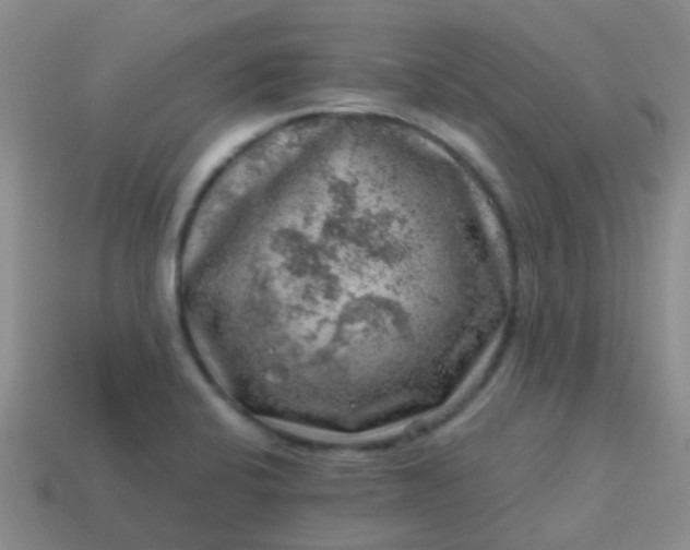 X0000113861424200910081657
