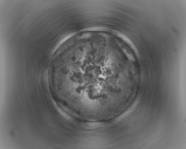 X0000113861425200910081657