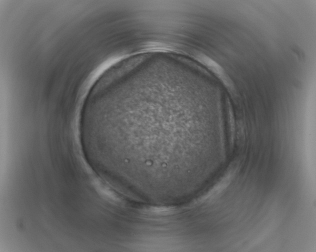X0000113861427200910081657