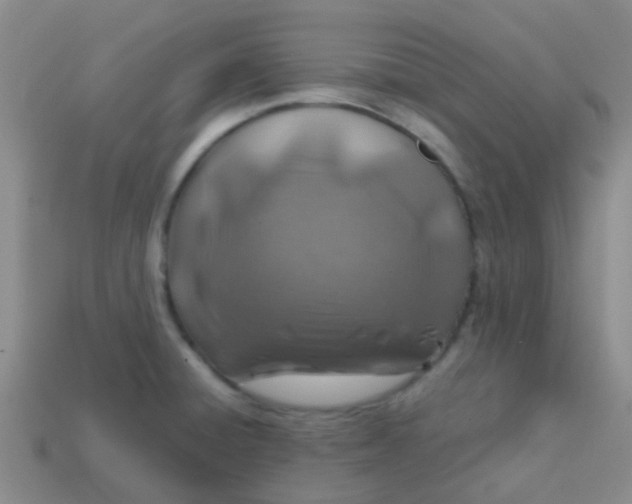 X0000113861428200910081657