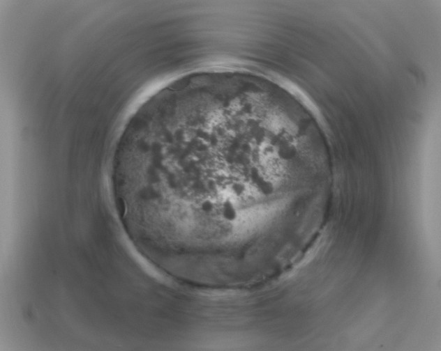 X0000113861429200910081657