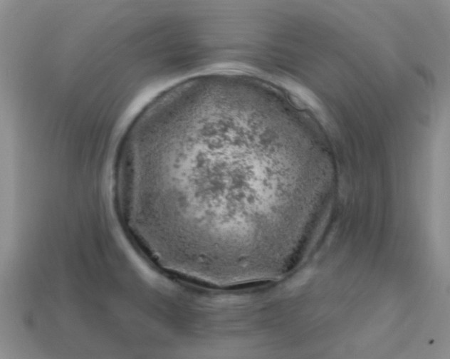 X0000113861430200910081657