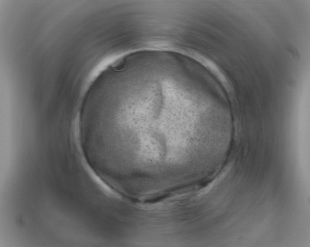 X0000113861432200910081657