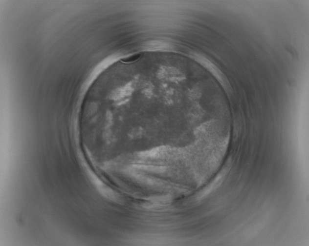 X0000113861434200910081657