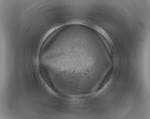 X0000113861436200910081657