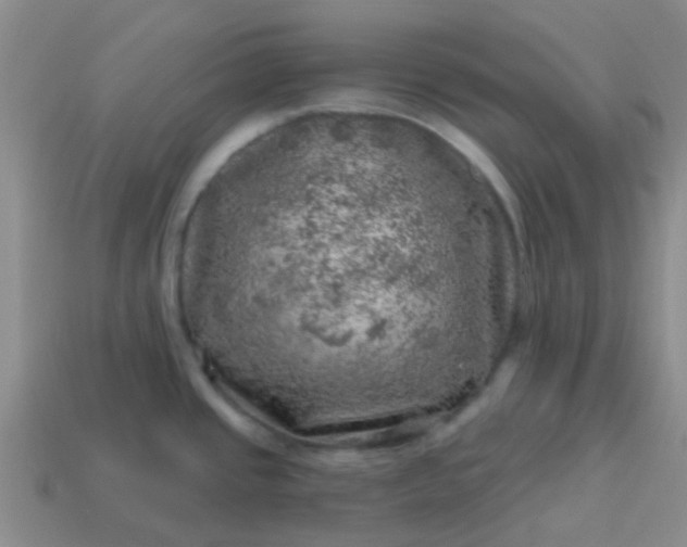 X0000113861437200910081657