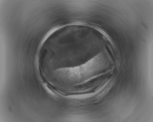 X0000113861438200910081657