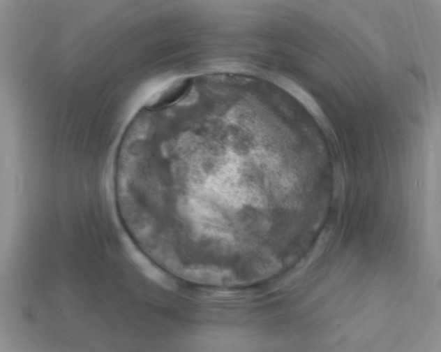 X0000113861439200910081657