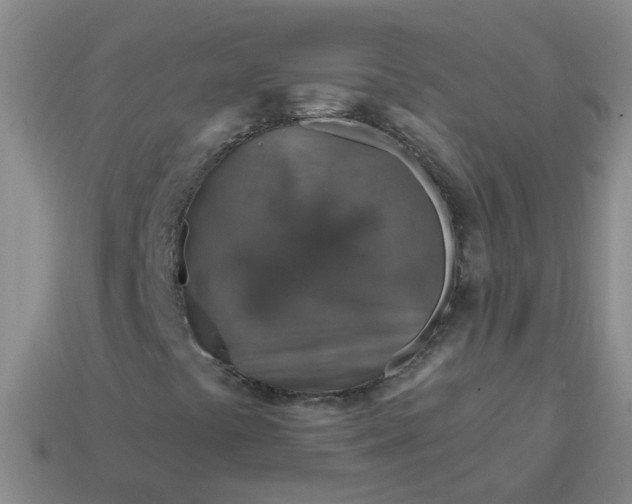 X0000113861441200910081656