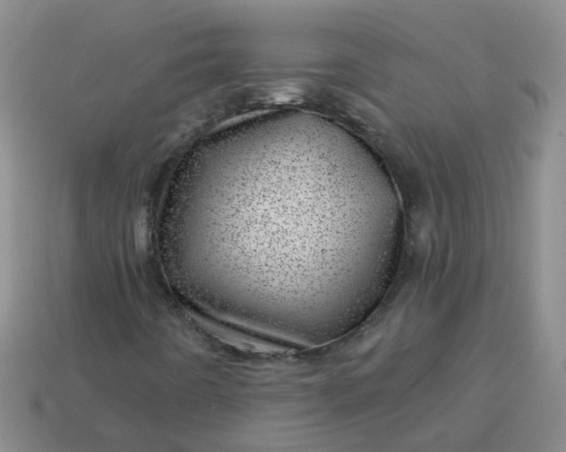 X0000113861442200910081656